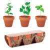 Set aus 3 Terrakotta-Töpfen mit 3 verschiedenen Samen von 3 verschiedenen Kräutern: Minze
