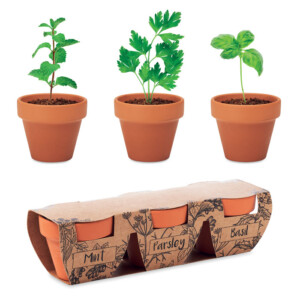 Set aus 3 Terrakotta-Töpfen mit 3 verschiedenen Samen von 3 verschiedenen Kräutern: Minze
