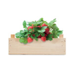 Erdbeer-Anbauset (Waldbeere-Sorte Fragaria vesca) mit Gartenkompost in einer Holzkiste. Hergestellt in der EU.-Holz-8719941056930-3