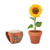 Kleiner Terrakottatopf mit Sonnenblumenkernen. In Europa hergestellt.-Holz-8719941051812