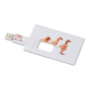 USB-Sticks im Kreditkartenformat aus ABS. Seine Oberfläche ist ideal für eine vierfarbige Markierung.-Weiß-8719941044364