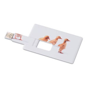 USB-Sticks im Kreditkartenformat aus ABS. Seine Oberfläche ist ideal für eine vierfarbige Markierung.-Weiß-8719941044364