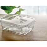 Lunchbox aus Borosilikatglas mit Verschlussdeckel aus PP. Geeignet für Mikrowellen. Fassungsvermögen 900ml.-Transparent-8719941049109-5