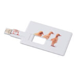 Clés USB aux dimensions d'une Carte de crédit en ABS. Sa surface est idéale pour un marquage en quadrichromie.-Blanc-8719941060432
