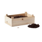 Kit de culture de fraises (variété Fraise des bois  Fragaria vesca ) avec compost de jardin dans une caisse en bois. Fabriqué dans l'UE.-Bois-8719941056930-2