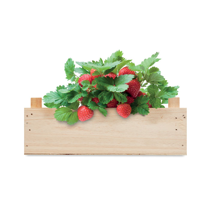 Kit de culture de fraises (variété Fraise des bois  Fragaria vesca ) avec compost de jardin dans une caisse en bois. Fabriqué dans l'UE.-Bois-8719941056930-3