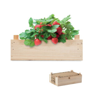 Kit de culture de fraises (variété Fraise des bois  Fragaria vesca ) avec compost de jardin dans une caisse en bois. Fabriqué dans l'UE.-Bois-8719941056930