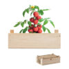 Kit de culture de tomates Roma (Solanum lycopersicum Roma ) dans une caisse en bois avec du compost de jardin. Fabriqué dans l'UE.-Bois-8719941056855