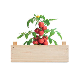 Kit de culture de tomates Roma (Solanum lycopersicum Roma ) dans une caisse en bois avec du compost de jardin. Fabriqué dans l'UE.-Bois-8719941056855-3