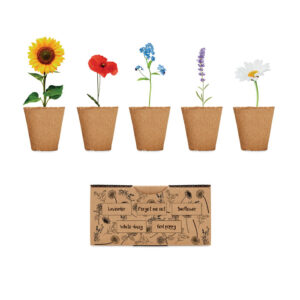 Kit de culture de fleurs. Boîte contenant des graines de lavande