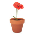 Petit pot en terre cuite contenant des graines de coquelicot. Fabriqué en UE.-Bois-8719941051829-6