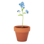 Petit pot en terre cuite contenant des graines de myosotis ''forget me not''. Fabriqué en UE.-Bois-8719941051805-6