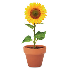 Petit pot en terre cuite contenant des graines de tournesol. Fabriqué en UE.-Bois-8719941051812-6